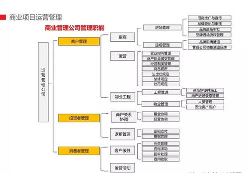 商管公司团队组织架构与商业运管模式解析 构建高效企业管理体系